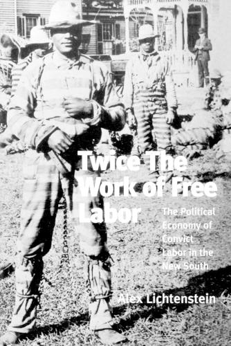 Бумажная книга «Twice the Work of Free Labor: The Political Economy of Convict Labor in the New South», автор Алекс Лихтенштейн - фото №1