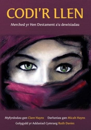 Паперова книга «Codi'r Llen - Merched yr Hen Destament a'u Dewisiadau», автор Клер Хейнс - фото №1