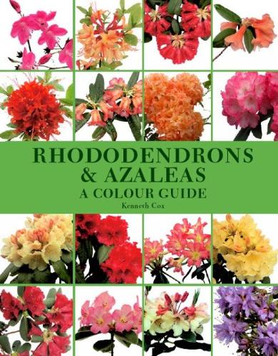 Бумажная книга «Rhododendrons and Azaleas - A Colour Guide», автор Кеннет Кокс - фото №1