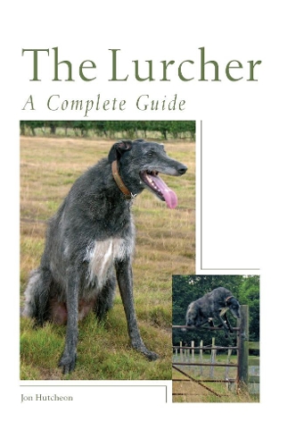 [object Object] «The Lurcher: A Complete Guide», автор Джон Хатчон - фото №1