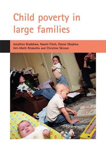 Бумажная книга «Child poverty in large families» - фото №1