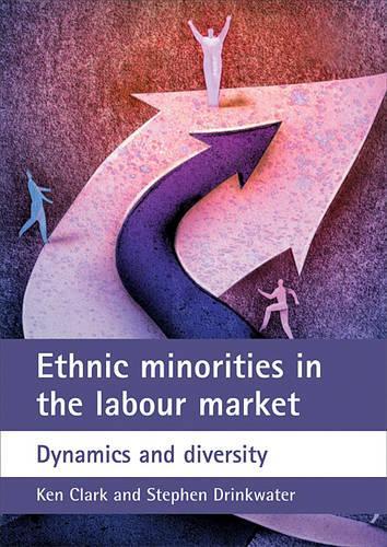 Бумажная книга «Ethnic minorities in the labour market: Dynamics and diversity» - фото №1