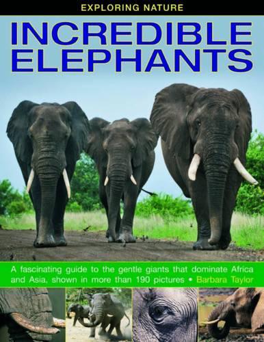 [object Object] «Exploring Nature: Incredible Elephants», автор Барбара Тейлор - фото №1
