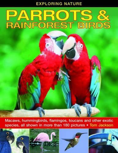 Бумажная книга «Exploring Nature: Parrots & Rainforest Birds», автор Том Джексон - фото №1