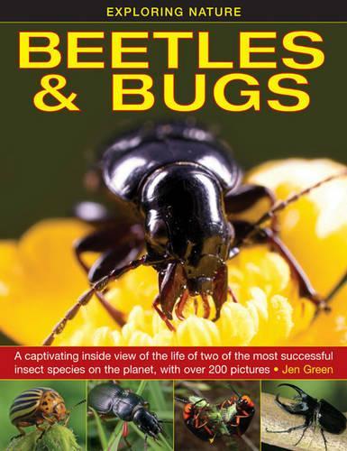 Паперова книга «Exploring Nature: Beetles & Bugs», автор Джен Грін - фото №1