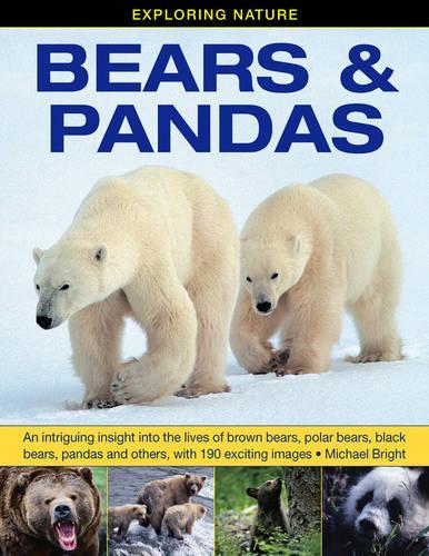 Paper book «Exploring Nature: Bears & Pandas: An Intriguing Insight into the Lives of Brown Bears, Polar Bears, Black Bears, Pandas and Others, with 190 Exciting Images», author Michael Bright - фото №1
