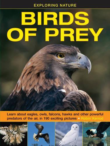 Бумажная книга «Exploring Nature: Birds of Prey», автор Керрод Робин - фото №1