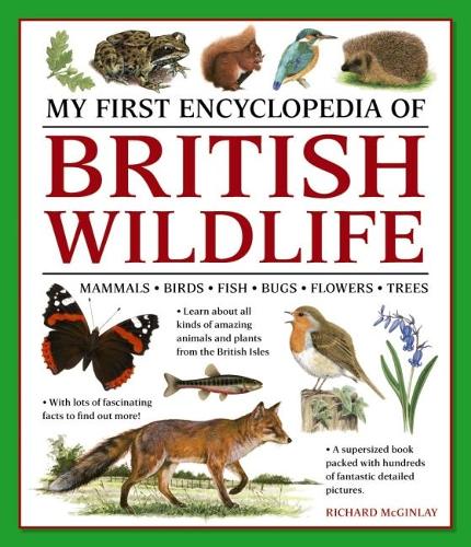 Бумажная книга «My First Encyclopedia of British Wildlife: Mammals, Birds, Fish, Bugs, Flowers, Trees», автор Ричард Макгинли - фото №1