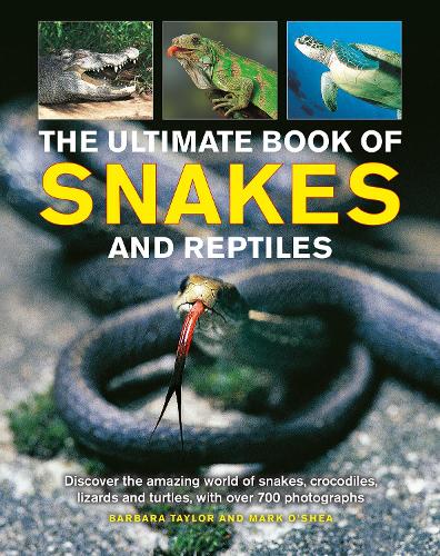 [object Object] «Snakes and Reptiles, Ultimate Book of: Discover the amazing world of snakes, crocodiles, lizards and turtles, with over 700 photographs», автор Барбара Тейлор - фото №1