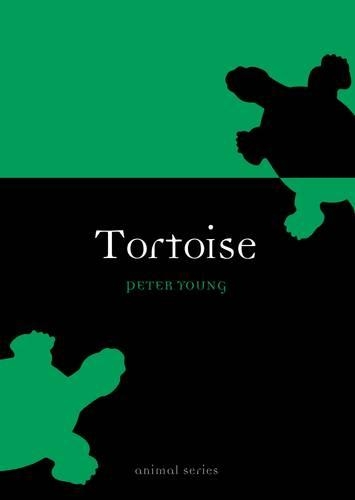 Паперова книга «Tortoise», автор Пітер Янг - фото №1