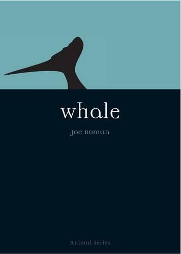 Бумажная книга «Whale», автор Джо Роман - фото №1