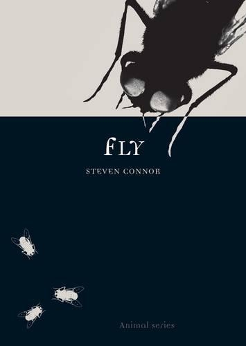 Паперова книга «Fly», автор Стівен Коннор - фото №1