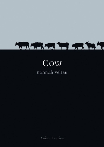 Бумажная книга «Cow», автор Ханна Велтен - фото №1