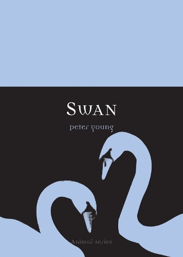 Паперова книга «Swan», автор Пітер Янг - фото №1