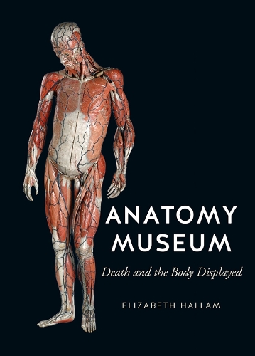 Бумажная книга «Anatomy Museum: Death and the Body Displayed», автор Элизабет Халлам - фото №1