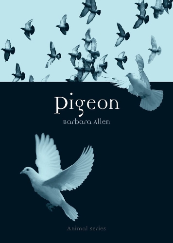 Бумажная книга «Pigeon», автор Барбара Аллен - фото №1