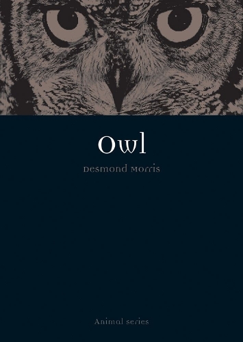 Бумажная книга «Owl», автор Десмонд Моррис - фото №1