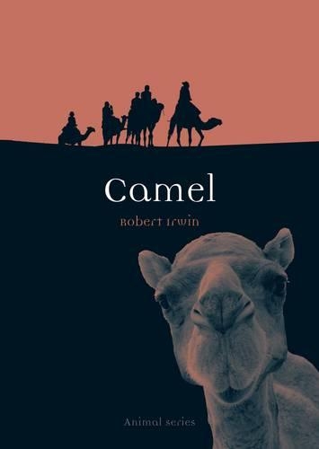 Бумажная книга «Camel», автор Роберт Ирвин - фото №1