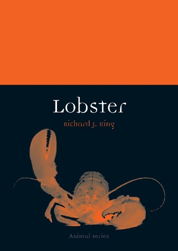 Паперова книга «Lobster», автор Річард Дж. Кінг - фото №1