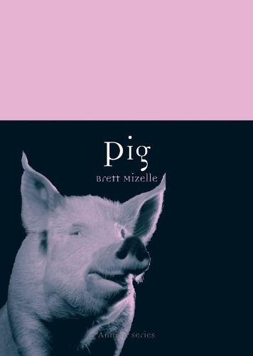 Бумажная книга «Pig», автор Бретт Мизель - фото №1