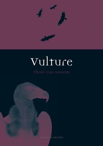 Бумажная книга «Vulture», автор Том Ван Дурен - фото №1