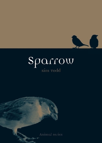 Паперова книга «Sparrow», автор Кім Тодд - фото №1