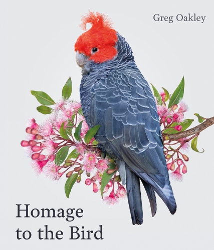 Бумажная книга «Homage to the Bird», автор Грег Окли - фото №1