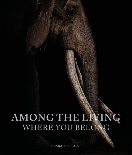 Бумажная книга «Among the Living: Where You Belong», автор Гваделупе Лаис - фото №1
