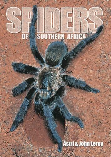 Паперова книга «Spiders of Southern Africa», автор Астрі Леруа - фото №1