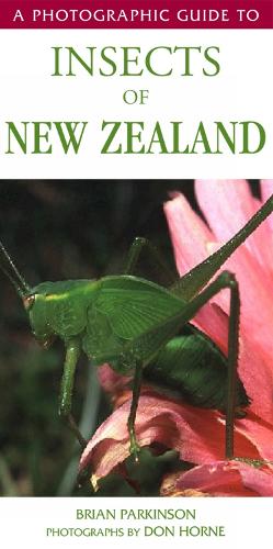 Бумажная книга «Photographic Guide To Insects Of New Zealand», автор Б. Паркинсон - фото №1