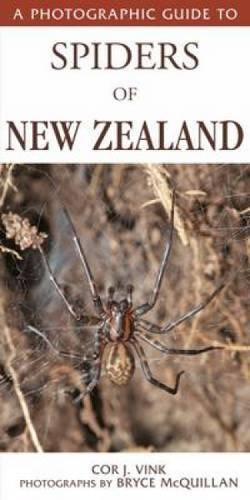 Бумажная книга «Photographic Guide To Spiders Of New Zealand», автор Кор Винк - фото №1