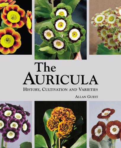 Бумажная книга «Auricula: History, Cultivation and Varieties», автор Аллан Гост - фото №1