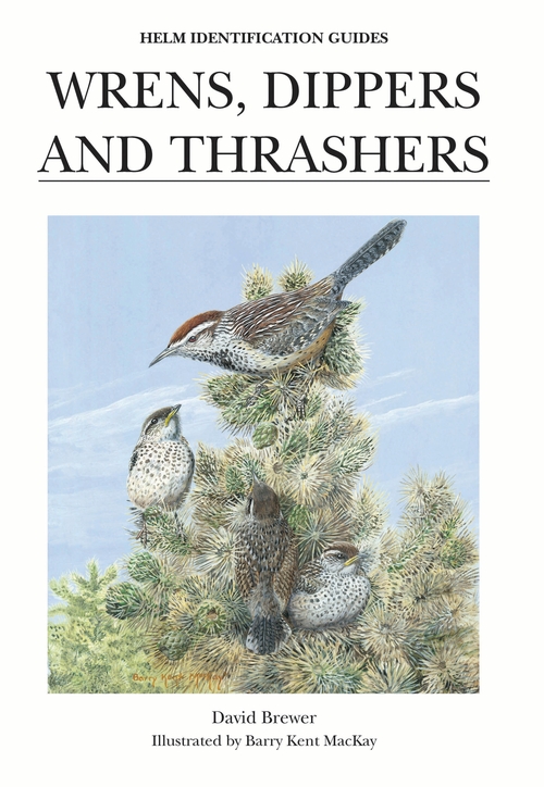 Бумажная книга «Wrens, Dippers and Thrashers» - фото №1