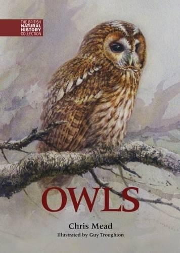 Паперова книга «Owls», автор Кріс Мід - фото №1