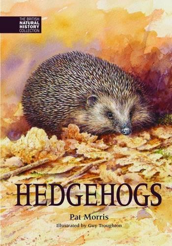 Бумажная книга «Hedgehogs», автор Пэт Моррис - фото №1