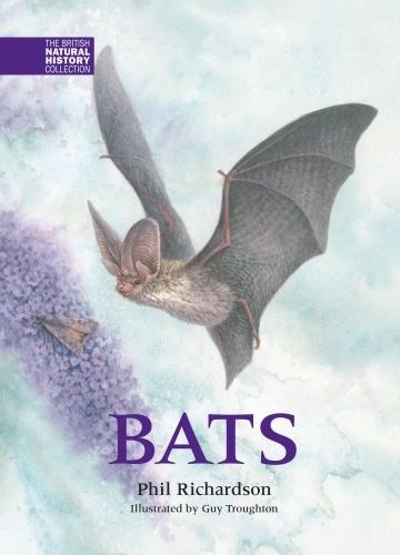 Паперова книга «Bats», автор Філ Річардсон - фото №1