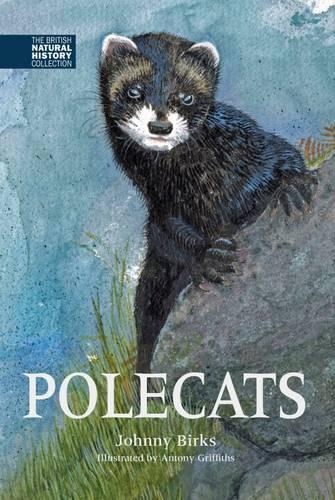 Паперова книга «Polecats», автор Джонні Біркс - фото №1