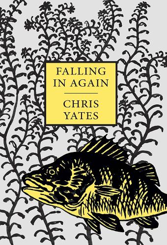 Бумажная книга «Falling in Again: Tales of an Incorrigible Angler», автор Крис Йейтс - фото №1