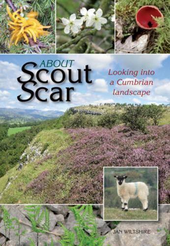 Бумажная книга «About Scout Scar: Looking into a Cumbrian Landscape», автор Ян Уилтшир - фото №1