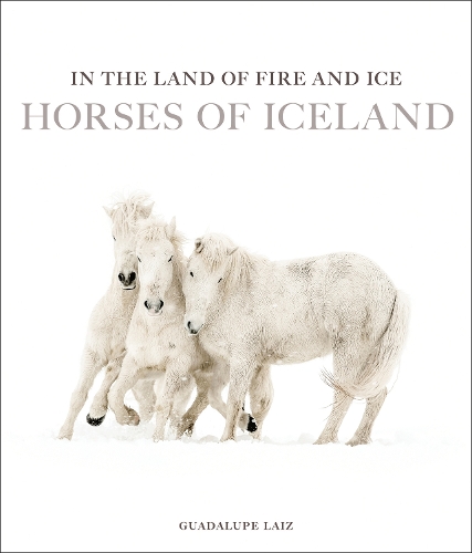 Бумажная книга «In the Land of Fire and Ice: Horses of Iceland», автор Гваделупе Лаис - фото №1