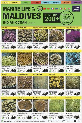 Бумажная книга «Maldives Marine Life Field Guide: "Top 200+"», автор Тим Годфри - фото №1
