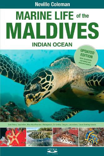 Паперова книга «Marine Life of the Maldives - Indian Ocean», автор Тім Годфрі - фото №1