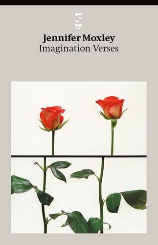 Бумажная книга «Imagination Verses», автор Дженнифер Моксли - фото №1
