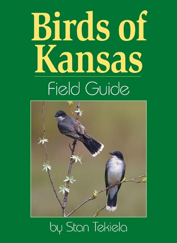 Бумажная книга «Birds of Kansas Field Guide», автор Стэн Текила - фото №1