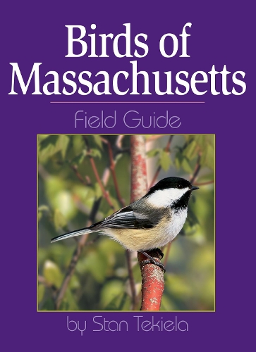 Бумажная книга «Birds of Massachusetts Field Guide», автор Стэн Текила - фото №1
