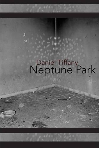 Бумажная книга «Neptune Park», автор Дэниел Тиффани - фото №1