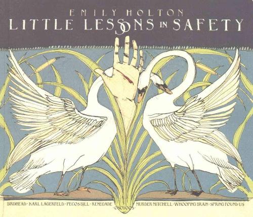 Бумажная книга «Little Lessons In Safety», автор Эмили Холтон - фото №1