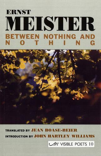 Паперова книга «Between Nothing and Nothing», автор Ернст Мейстер - фото №1
