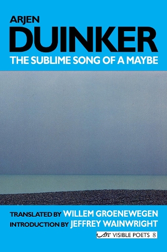 Бумажная книга «Sublime Song of a Maybe», автор Арьен Дуинкер - фото №1