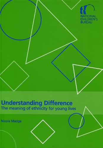 Бумажная книга «Understanding Difference: The meaning of ethnicity for young lives», автор Никола Мэдж - фото №1